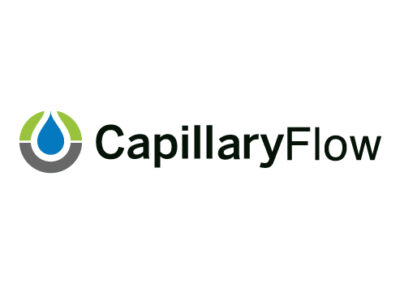 Learn More About Capillary Flow