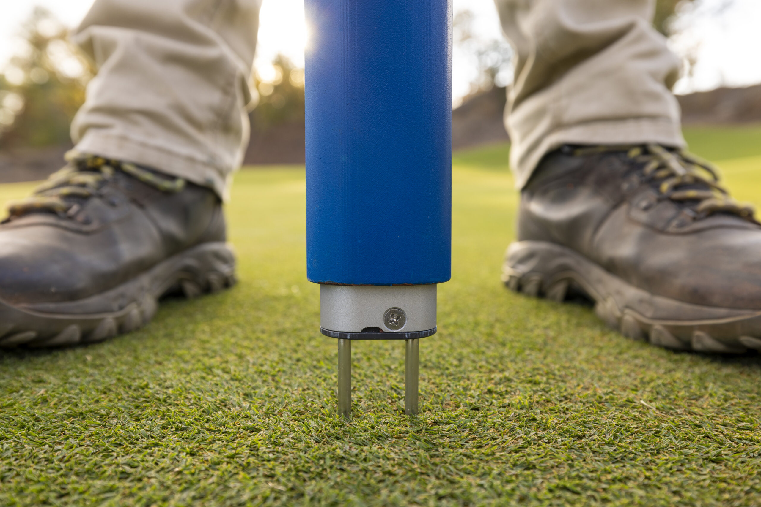 moisture meter bundle